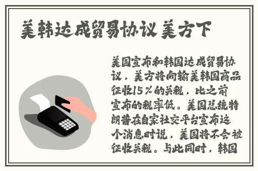 空乘啄木鸟完整版在线